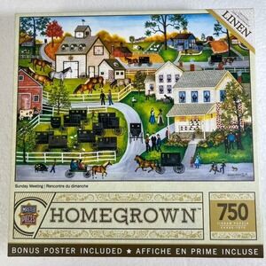 MasterPieces Homegrown 'Sunday‎ Meeting' 750 Pc Jigsaw Puzzle Poster Complete